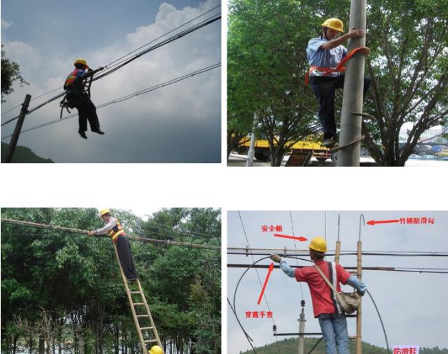 333333333.jpg 333333333.jpg