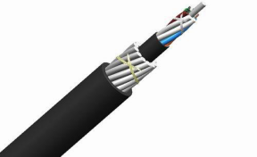 GYFY83-1.png GYFY83-1.png